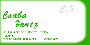 csaba hantz business card